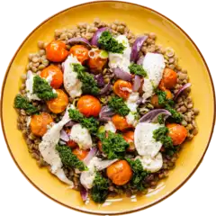 Stegt rødspætte med dildkartofler, remoulade og mandarinsalat